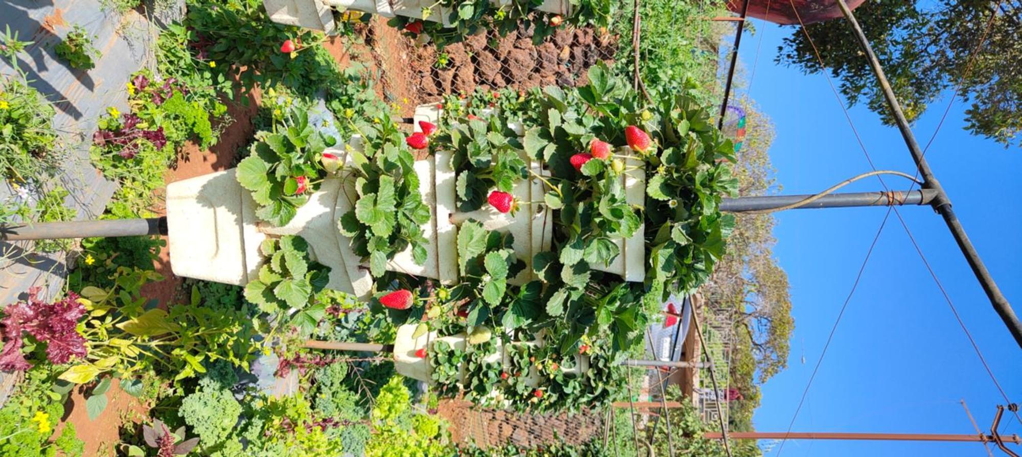 Woodland Farm Vila Mahabaleshwar Ngoại thất bức ảnh